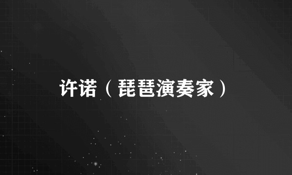 许诺（琵琶演奏家）