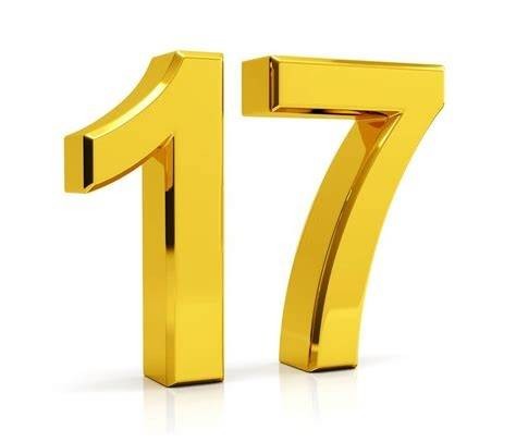 17（自然数）