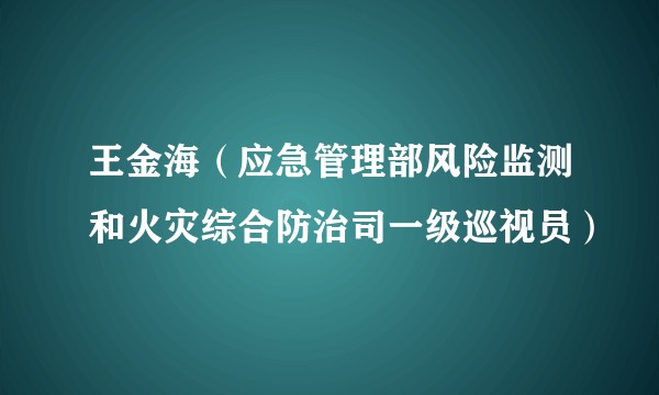 王金海（应急管理部风险监测和火灾综合防治司一级巡视员）