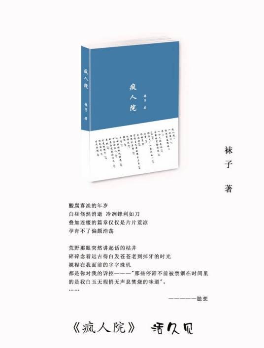 疯人院（2018年香江文艺出版社出版图书）