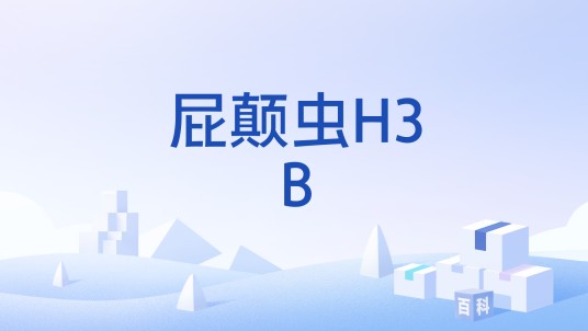 屁颠虫H3B