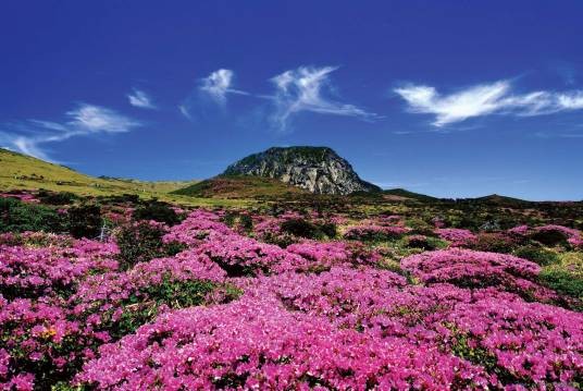 瀛洲（传说中的东海仙山）