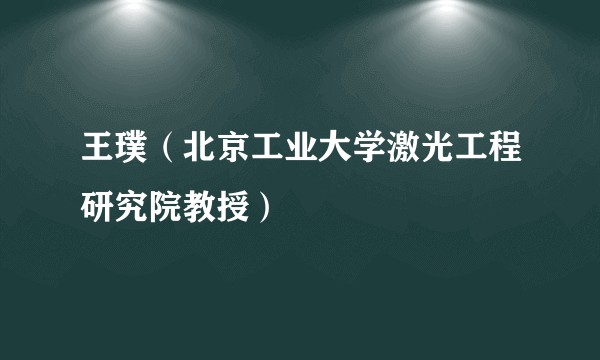 王璞（北京工业大学激光工程研究院教授）