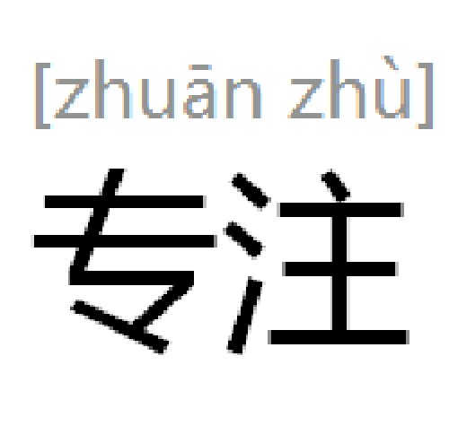 专注（汉语词语）