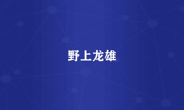 野上龙雄