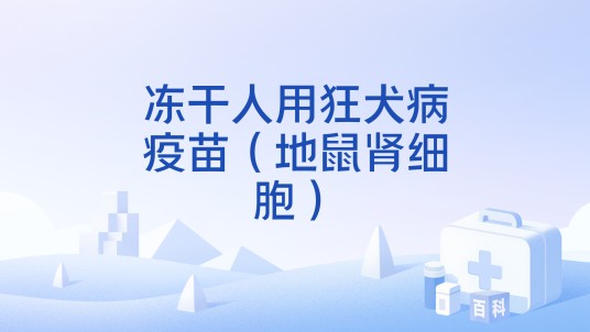 冻干人用狂犬病疫苗（地鼠肾细胞）