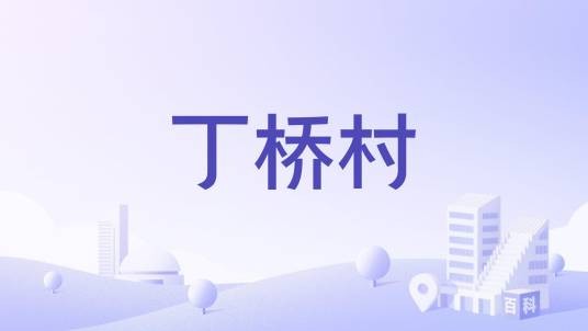 丁桥村(江苏省丹阳市皇塘镇丁桥村)