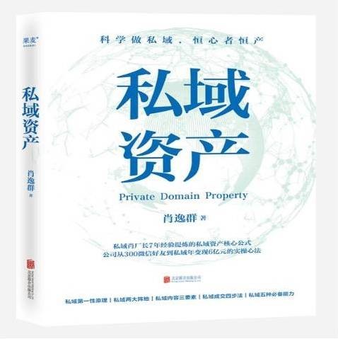 私域资产