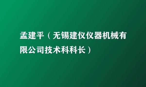 孟建平（无锡建仪仪器机械有限公司技术科科长）