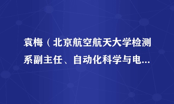 袁梅（北京航空航天大学检测系副主任、自动化科学与电气工程学院教授）