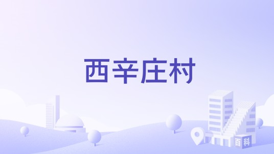 西辛庄村（河南省濮阳市范县辛庄镇下辖村）