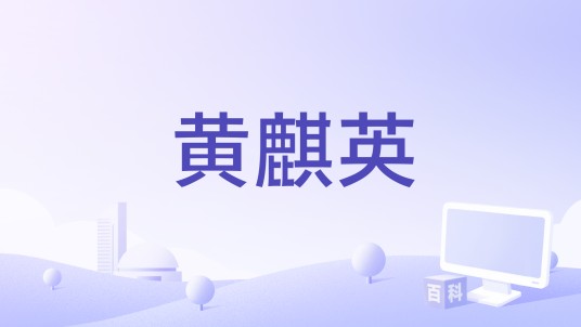 黄麒英(包磊编剧的中国大陆动作电影)
