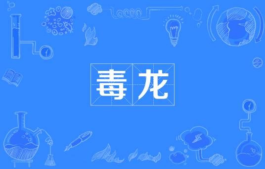 毒龙（佛教术语）