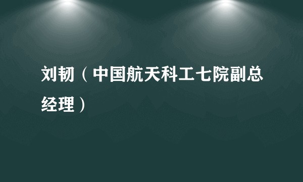 刘韧（中国航天科工七院副总经理）