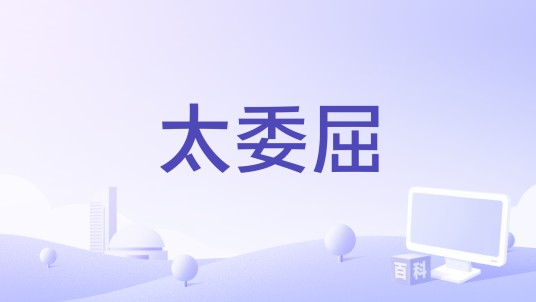 太委屈（抒情歌曲）
