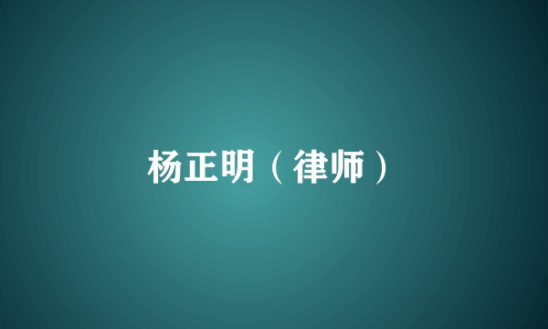 杨正明（律师）