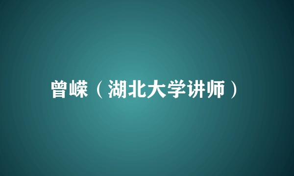 曾嵘（湖北大学讲师）