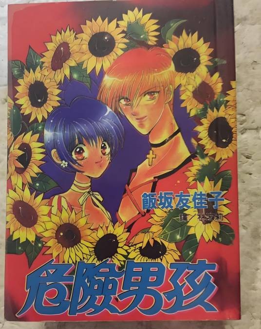 危险男孩