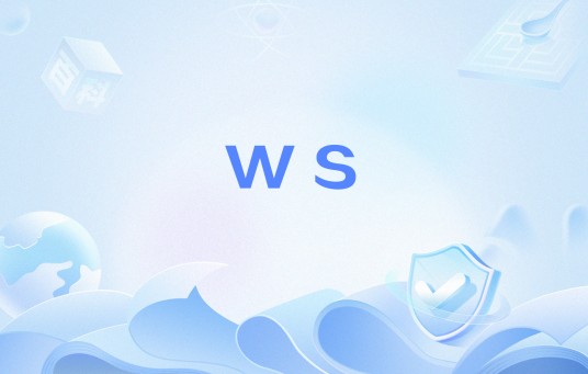 ws（网络流行语）