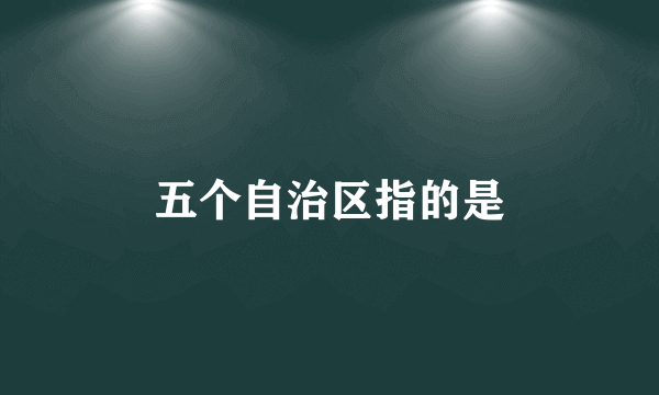 五个自治区指的是