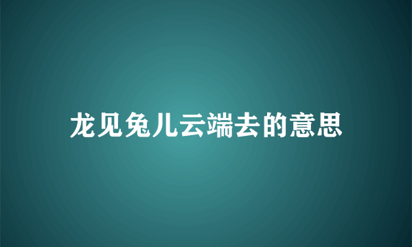 龙见兔儿云端去的意思