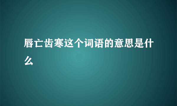 唇亡齿寒这个词语的意思是什么