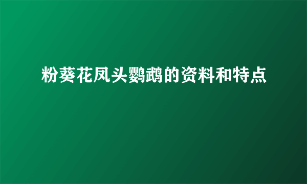 粉葵花凤头鹦鹉的资料和特点