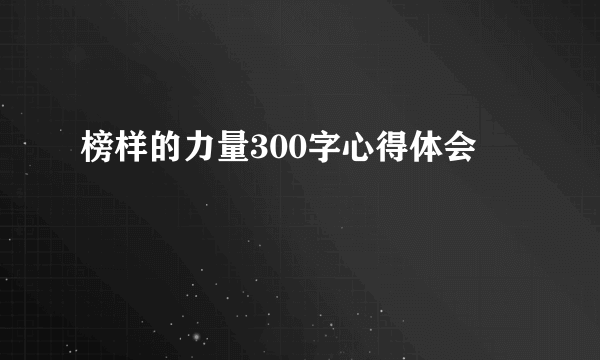 榜样的力量300字心得体会