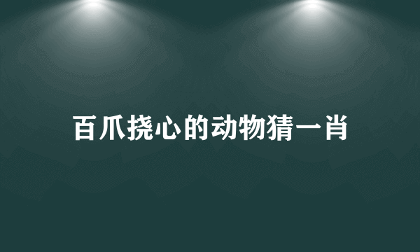 百爪挠心的动物猜一肖