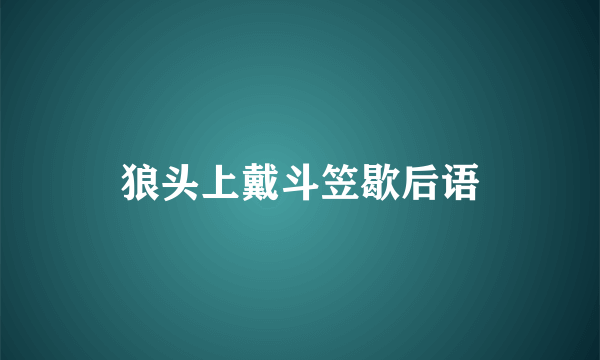 狼头上戴斗笠歇后语