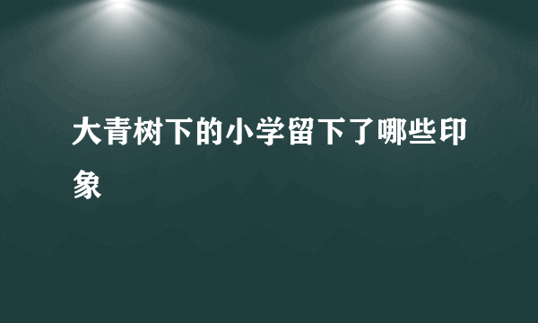 大青树下的小学留下了哪些印象