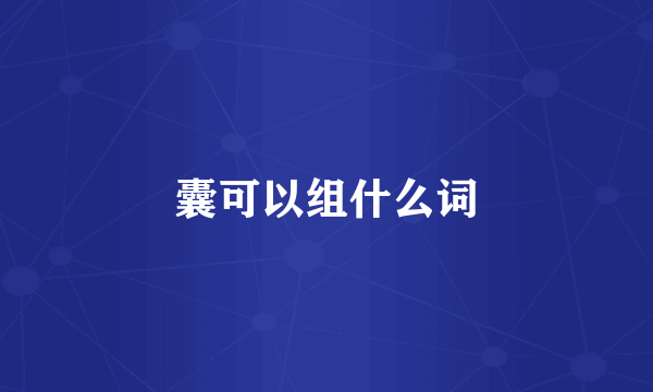 囊可以组什么词