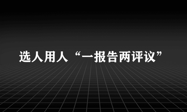 选人用人“一报告两评议”