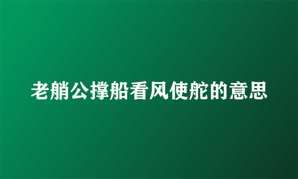 老艄公撑船看风使舵的意思