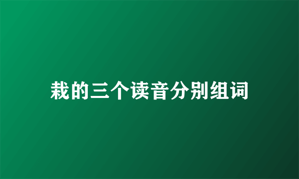 栽的三个读音分别组词