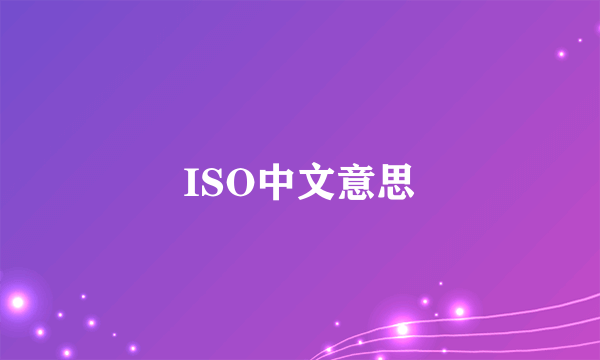 ISO中文意思