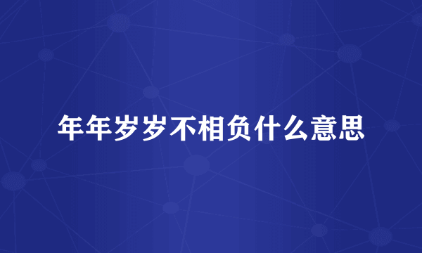 年年岁岁不相负什么意思