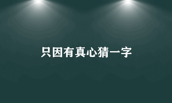 只因有真心猜一字