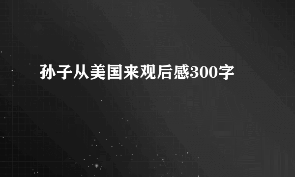 孙子从美国来观后感300字