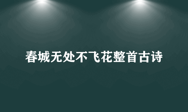 春城无处不飞花整首古诗