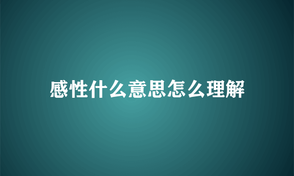感性什么意思怎么理解