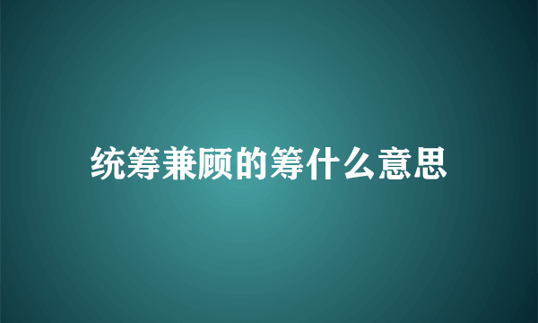 统筹兼顾的筹什么意思