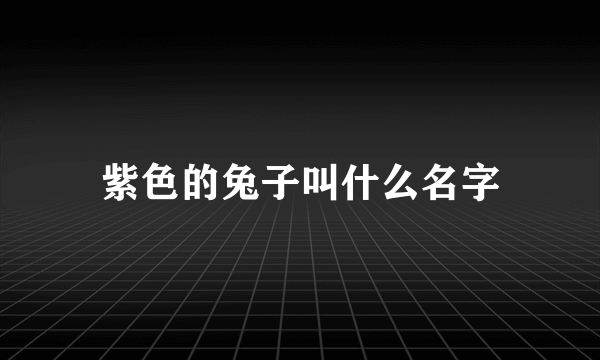 紫色的兔子叫什么名字