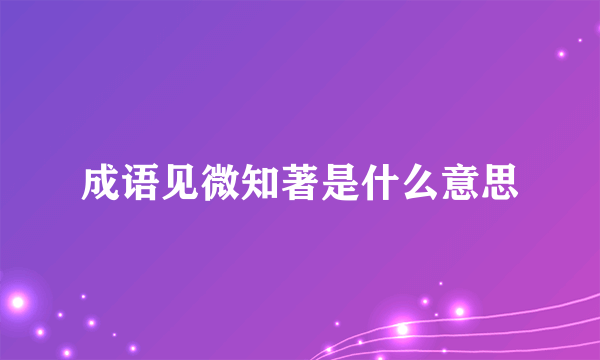成语见微知著是什么意思