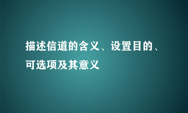描述信道的含义、设置目的、可选项及其意义
