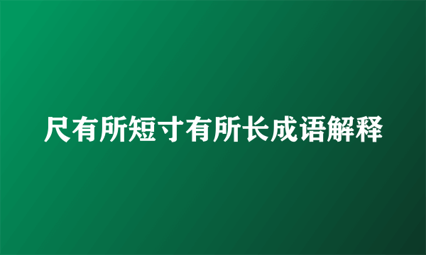 尺有所短寸有所长成语解释