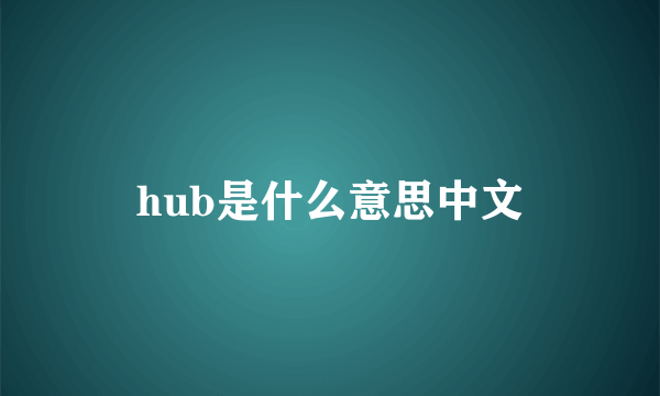hub是什么意思中文
