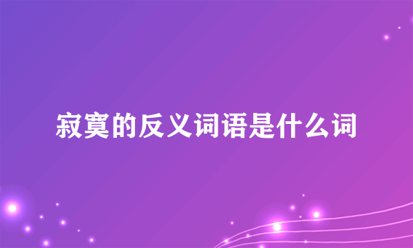 寂寞的反义词语是什么词