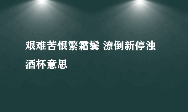艰难苦恨繁霜鬓 潦倒新停浊酒杯意思