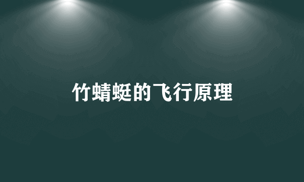 竹蜻蜓的飞行原理